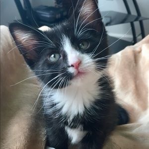 Meet your Posher, Alyssa